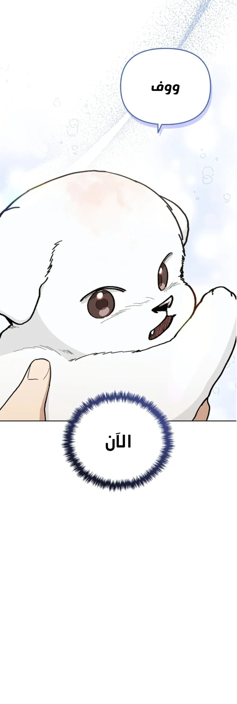 لا تعبث مع الجرو – الفصل 11 page 13